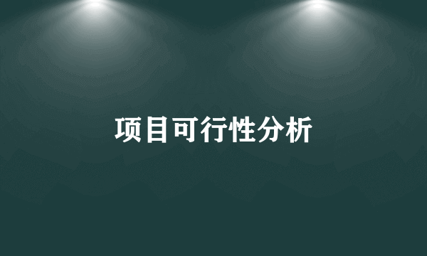 项目可行性分析