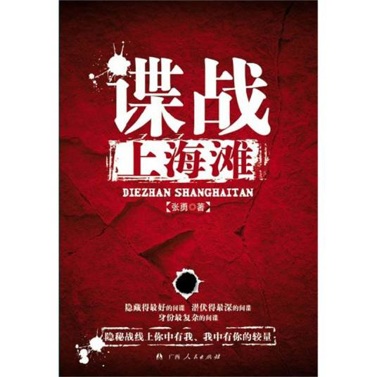 谍战上海滩（2012年广西人民出版社出版的图书）