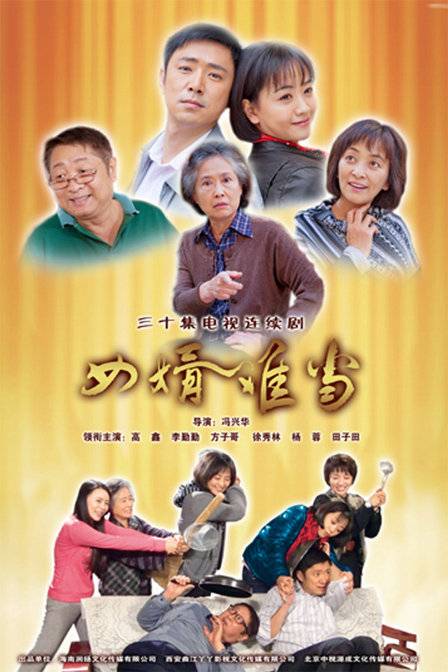 女婿难当（2012年冯兴华执导的电视剧）