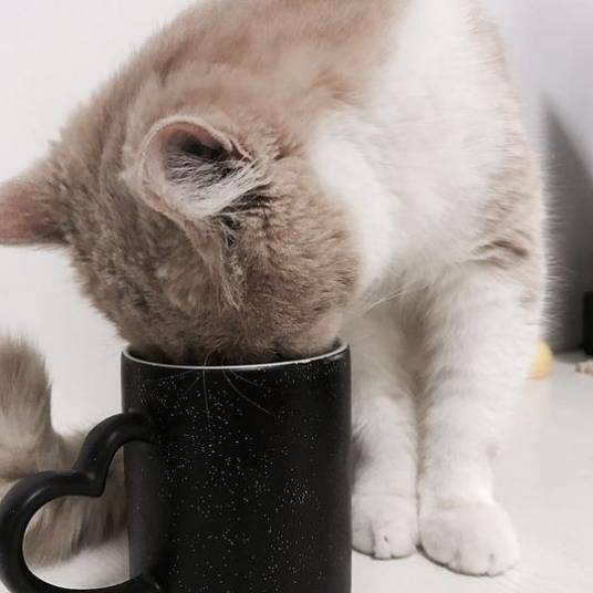 遥不可及的你（花粥演唱歌曲）