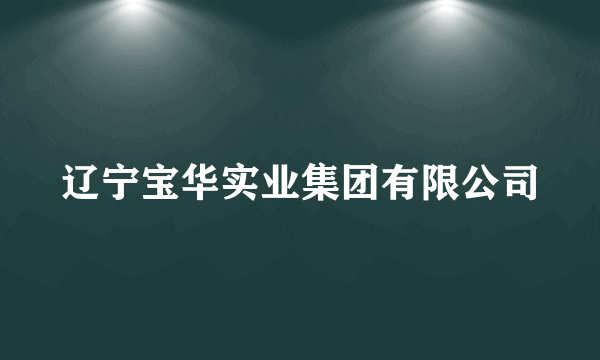 辽宁宝华实业集团有限公司