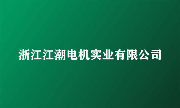 浙江江潮电机实业有限公司