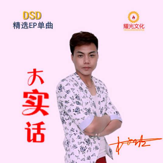 大实话（木子欣演唱歌曲）