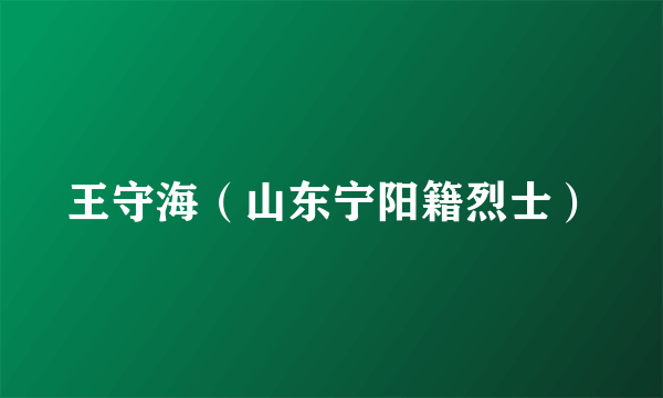 王守海（山东宁阳籍烈士）