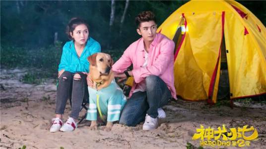 天使在身边（《神犬小七第二季》主题曲）