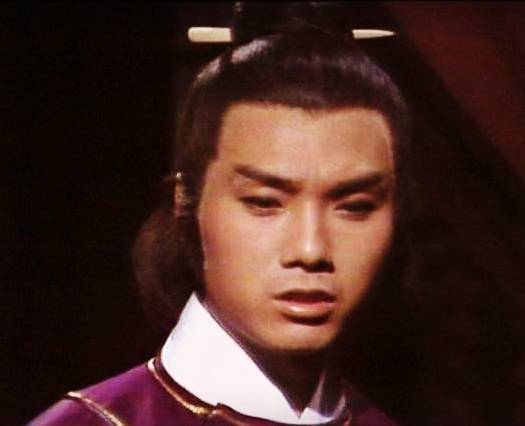 傅玉书（小说《天蚕变》中的角色）