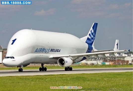 A300-600运输机