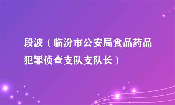段波（临汾市公安局食品药品犯罪侦查支队支队长）
