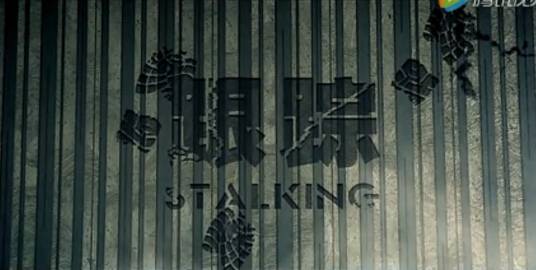 跟踪（2016年贺岁电影）