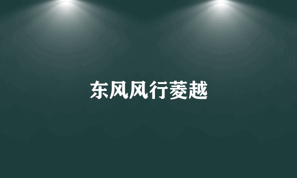 东风风行菱越