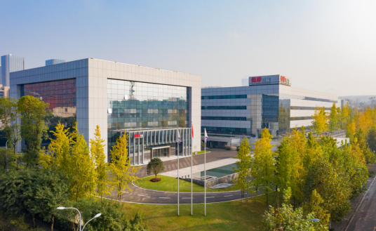 重庆市伟岸测器制造股份有限公司