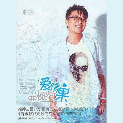 爱情旅途（庞龙演唱的歌曲）