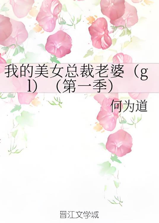 我的美女总裁老婆(gl)（第一季）