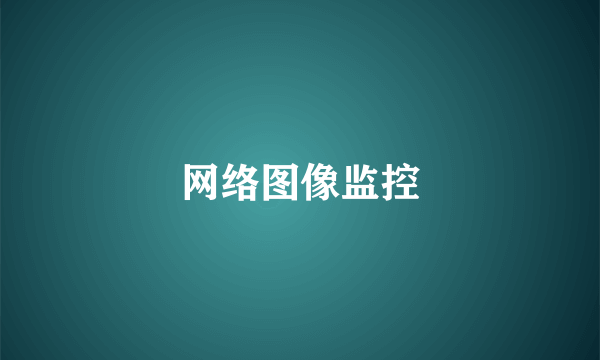 网络图像监控