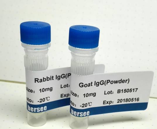 血清免疫球蛋白G(IgG)