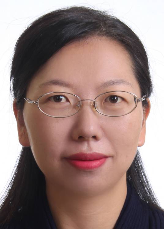 蔡莉（云南大学软件学院教授）