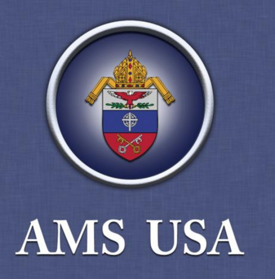 AMS（甲基苯乙烯的低聚物）