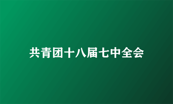共青团十八届七中全会