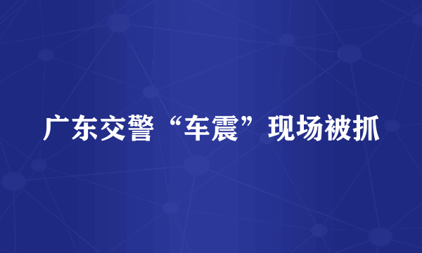 广东交警“车震”现场被抓