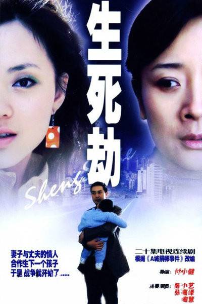 生死劫（2006年傅小健执导的电视剧）