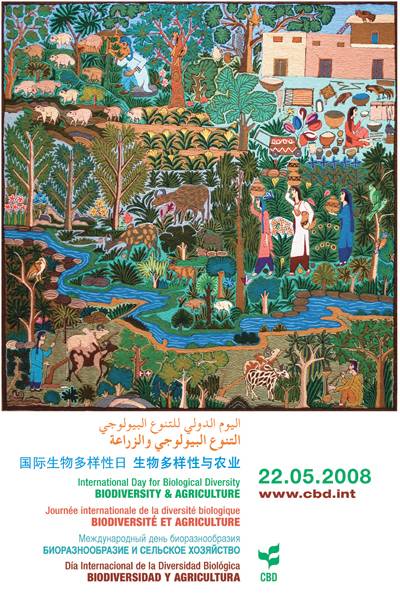 国际生物多样性日