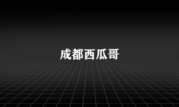 成都西瓜哥