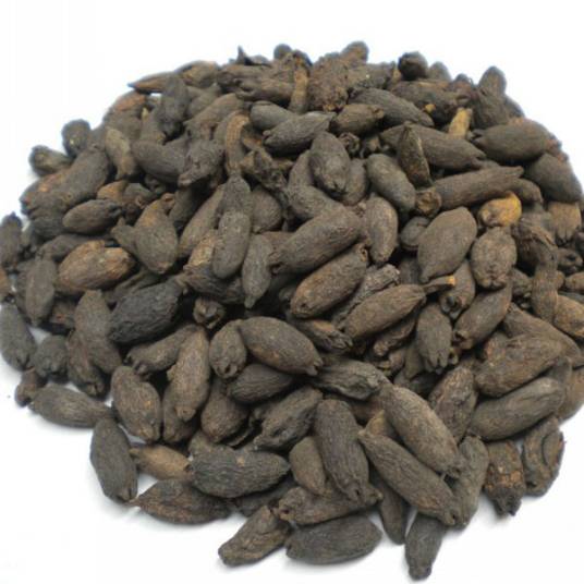 母丁香（中药）