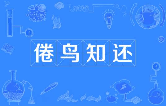 倦鸟知还