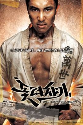 回旋踢（2004年韩国动作片）