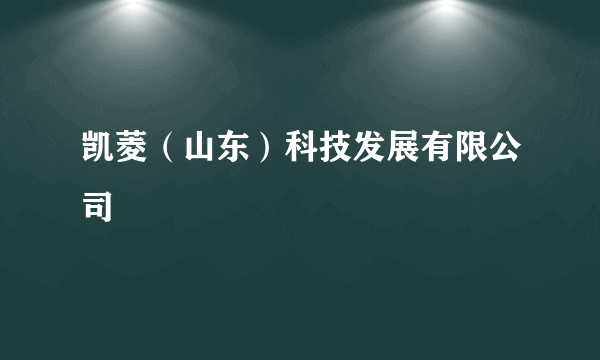 凯菱（山东）科技发展有限公司