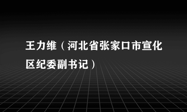 王力维（河北省张家口市宣化区纪委副书记）