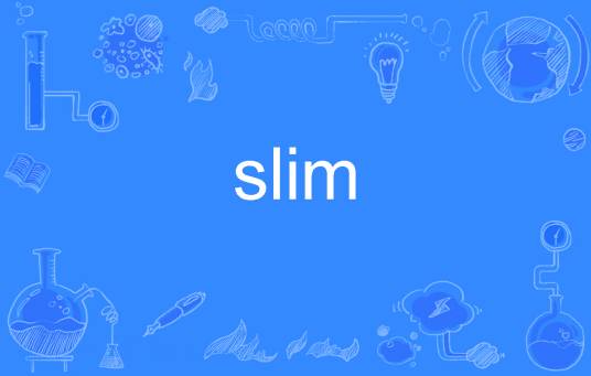 slim（英文单词）