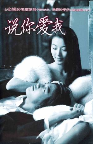 说你爱我（韩国2004年金圭芫执导电视剧）