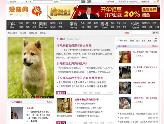 爱宠网