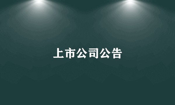 上市公司公告