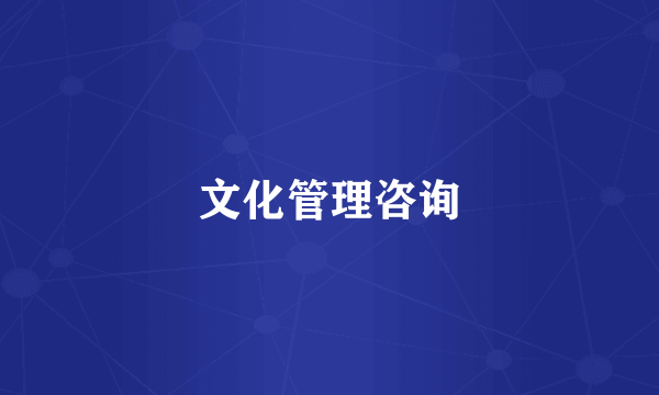 文化管理咨询