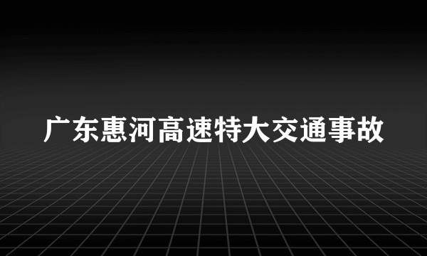 广东惠河高速特大交通事故
