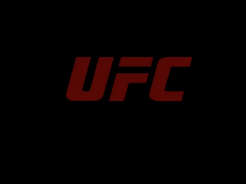 终极格斗冠军赛