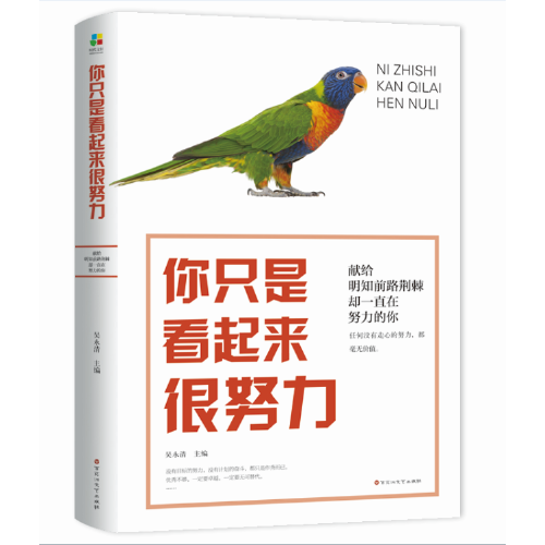 你只是看起来很努力（2019年百花洲文艺出版社出版的图书）