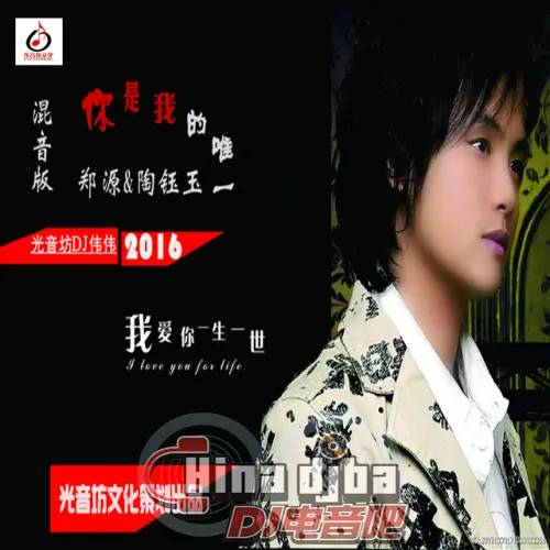 你是我的唯一（郑源、陶钰玉演唱歌曲）