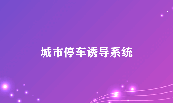 城市停车诱导系统