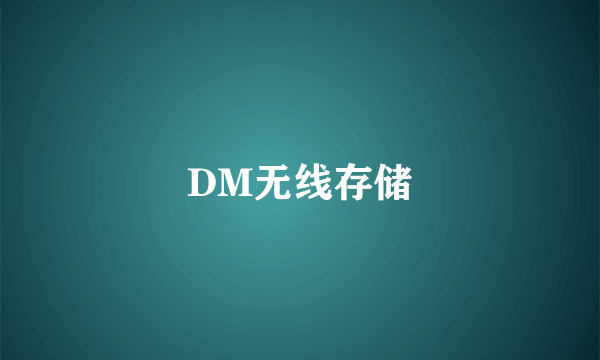 DM无线存储