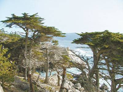 17英里风景区