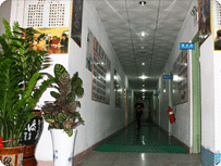 中国照明人才网