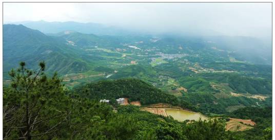 枕头山森林公园