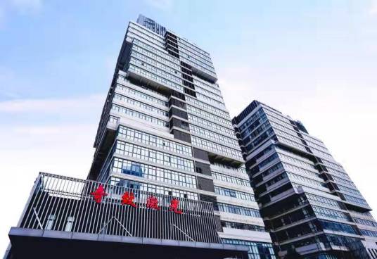 武汉奇致激光技术股份有限公司