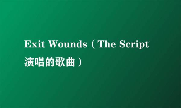 Exit Wounds（The Script演唱的歌曲）