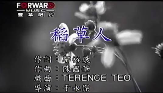 稻草人（林志颖演唱歌曲）