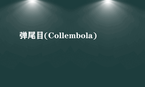 弹尾目(Collembola)