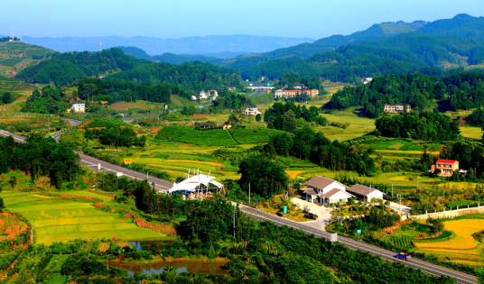 生态家园（农业合作社）